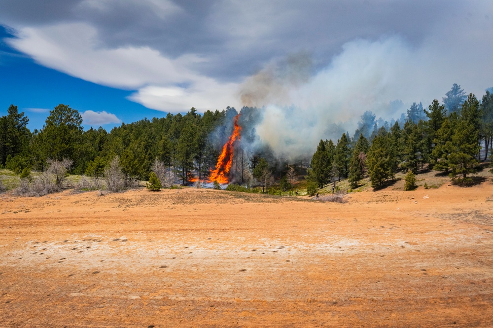 Crystal Reservoir RX burn