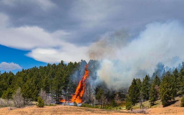 Crystal Reservoir RX burn