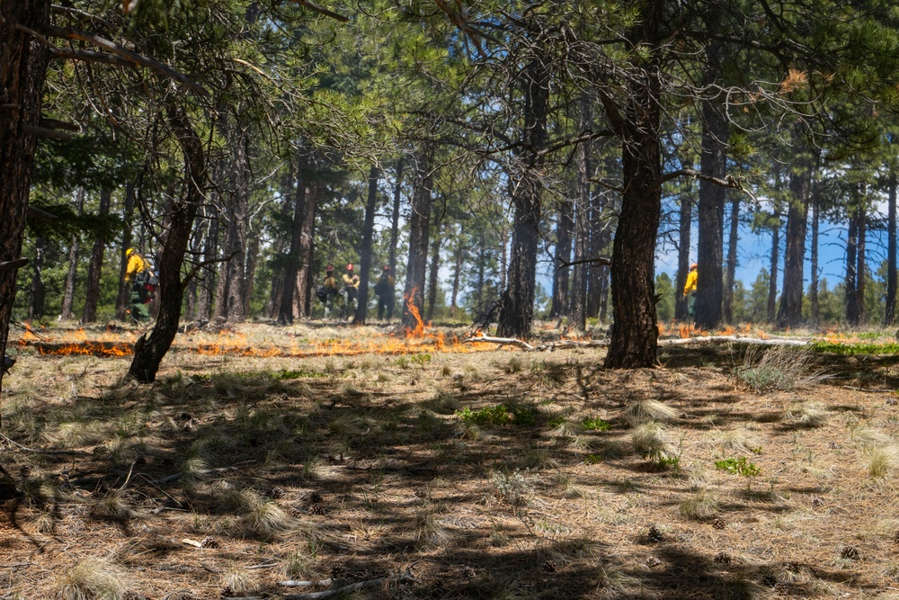 Crystal Reservoir RX burn