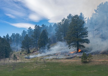 Crystal Reservoir RX burn