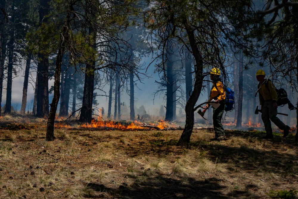 Crystal Reservoir RX burn
