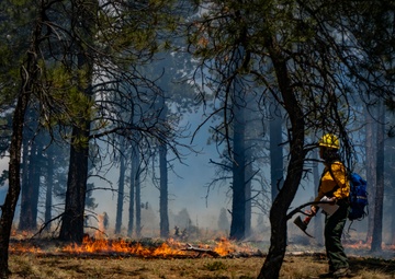 Crystal Reservoir RX burn