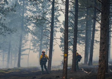 Crystal Reservoir RX burn