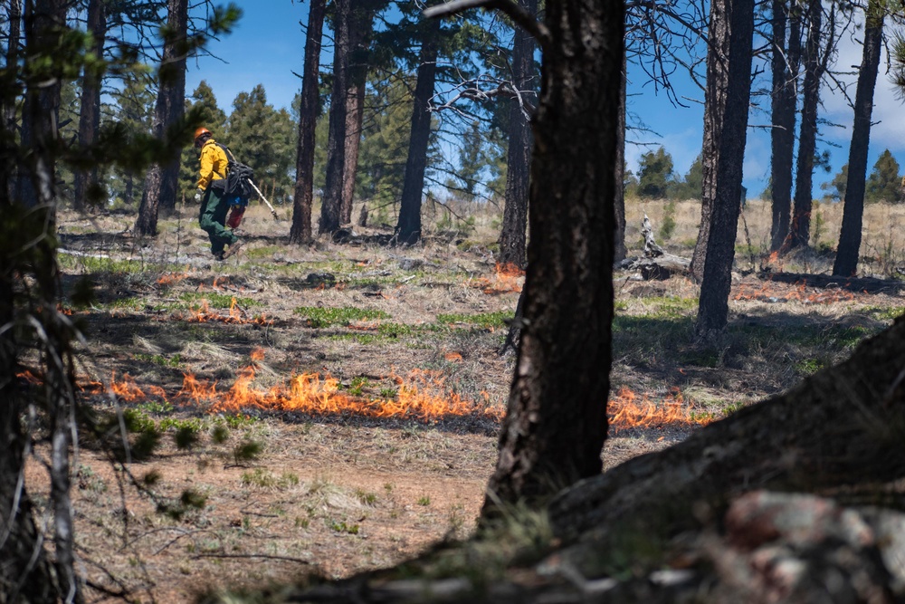 Crystal Reservoir RX burn