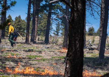 Crystal Reservoir RX burn