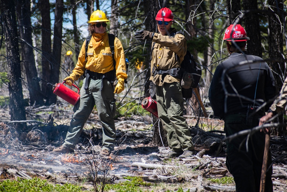 Crystal Reservoir RX burn