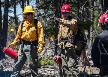 Crystal Reservoir RX burn