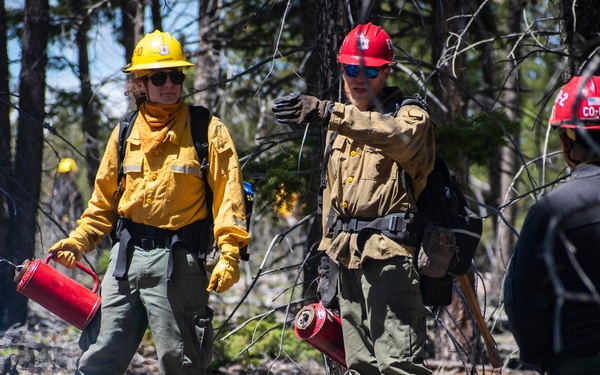 Crystal Reservoir RX burn