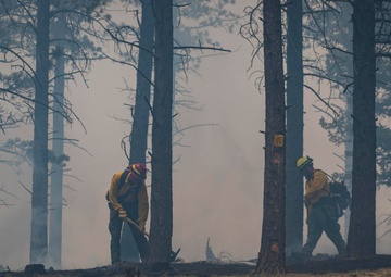 Crystal Reservoir RX burn