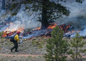 Crystal Reservoir RX burn
