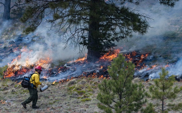 Crystal Reservoir RX burn