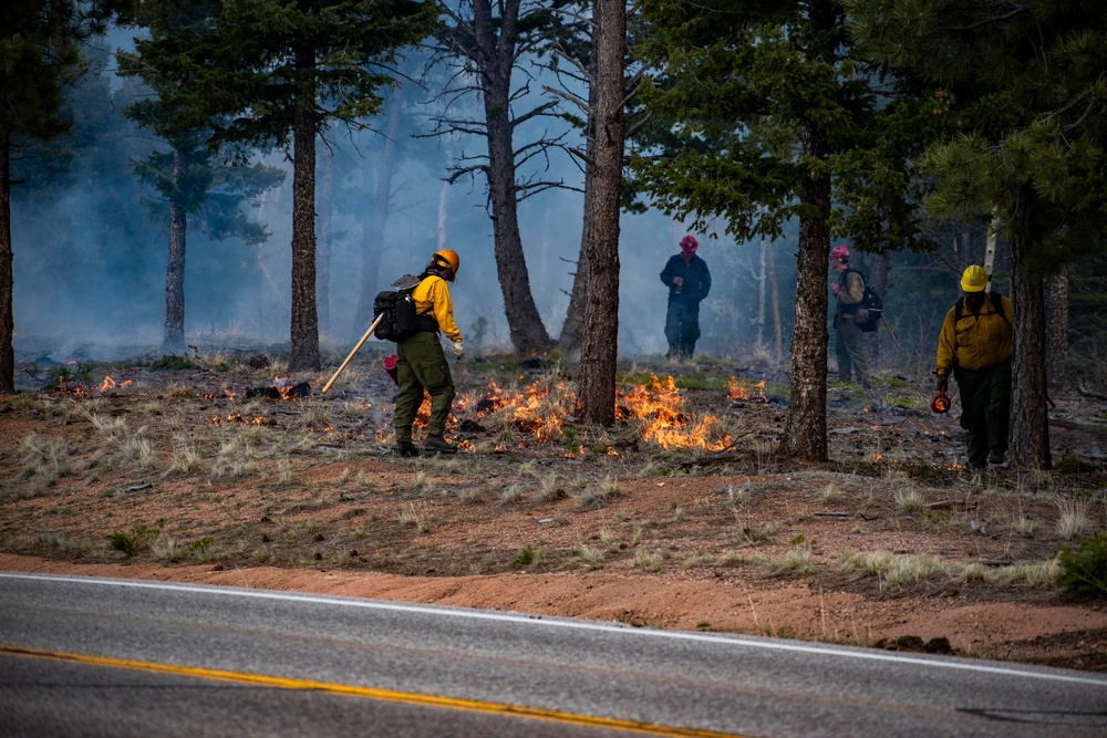 Crystal Reservoir RX burn
