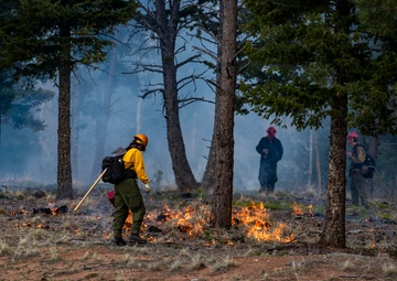 Crystal Reservoir RX burn