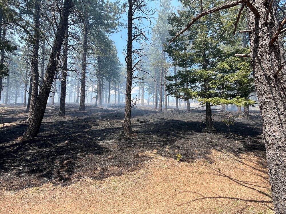 Crystal Reservoir RX burn