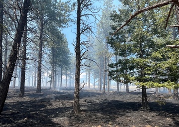 Crystal Reservoir RX burn