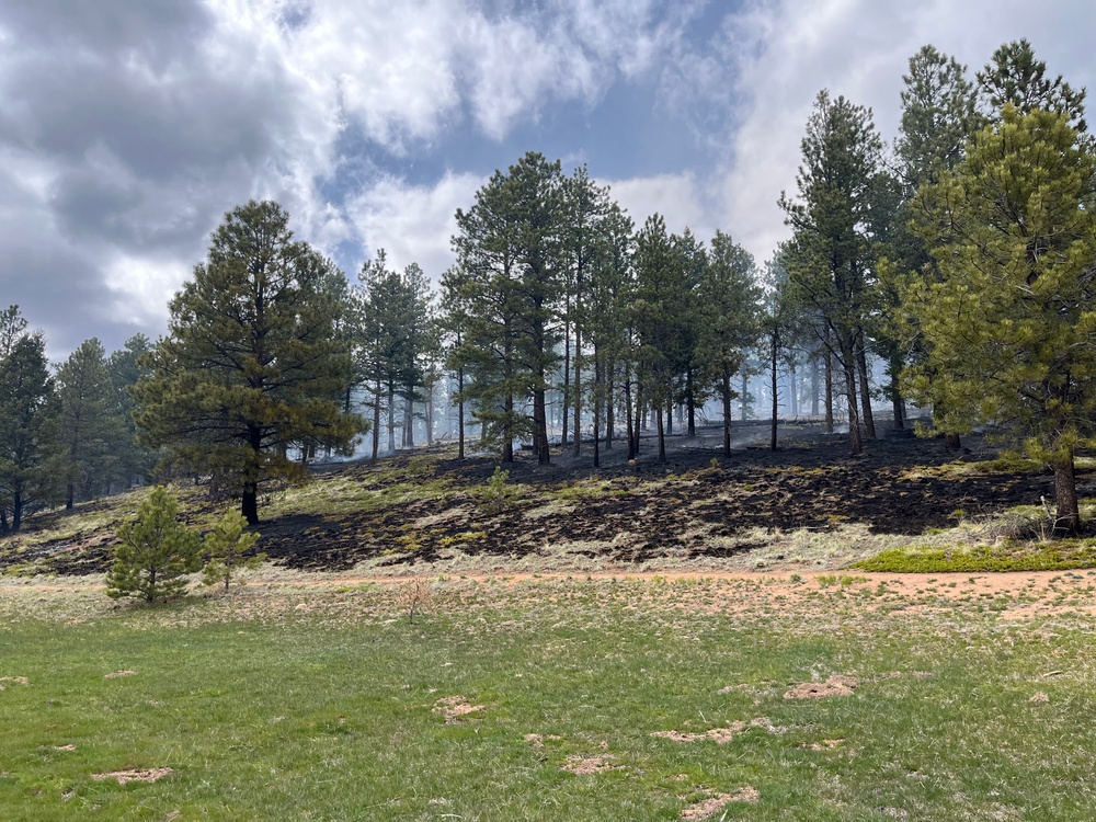 Crystal Reservoir RX burn