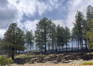 Crystal Reservoir RX burn