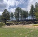 Crystal Reservoir RX burn