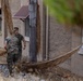 1st Radio Battalion participates in Operation Clean Sweep III