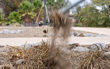 1st Radio Battalion participates in Operation Clean Sweep III