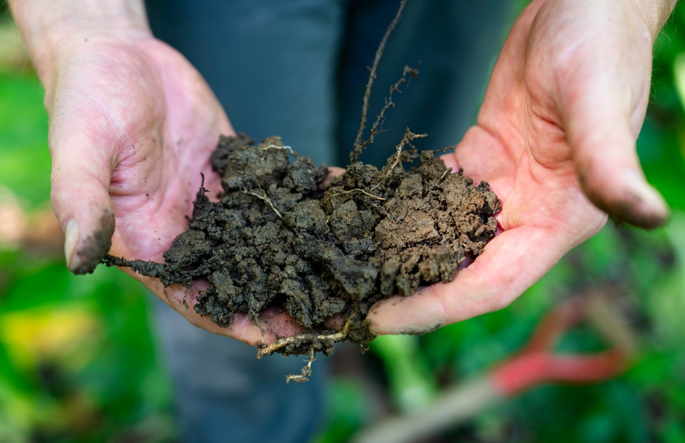 Rapid Ecological Assessment | New York