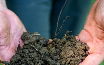 Rapid Ecological Assessment | New York