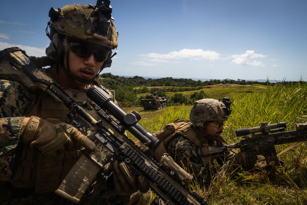 31st MEU | 1st LAR conducts a Live Fire Range