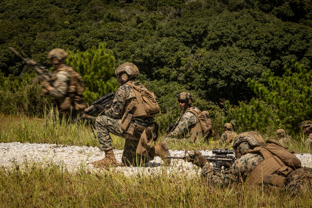 31st MEU | 1st LAR conducts a Live Fire Range