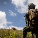 31st MEU | 1st LAR conducts a Live Fire Range