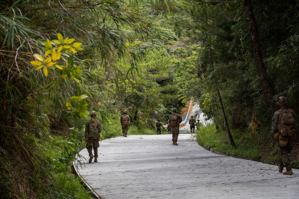 31st MEU | 1st Battalion, 7th Marines Conducts Jungle Warfare Training