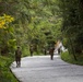 31st MEU | 1st Battalion, 7th Marines Conducts Jungle Warfare Training