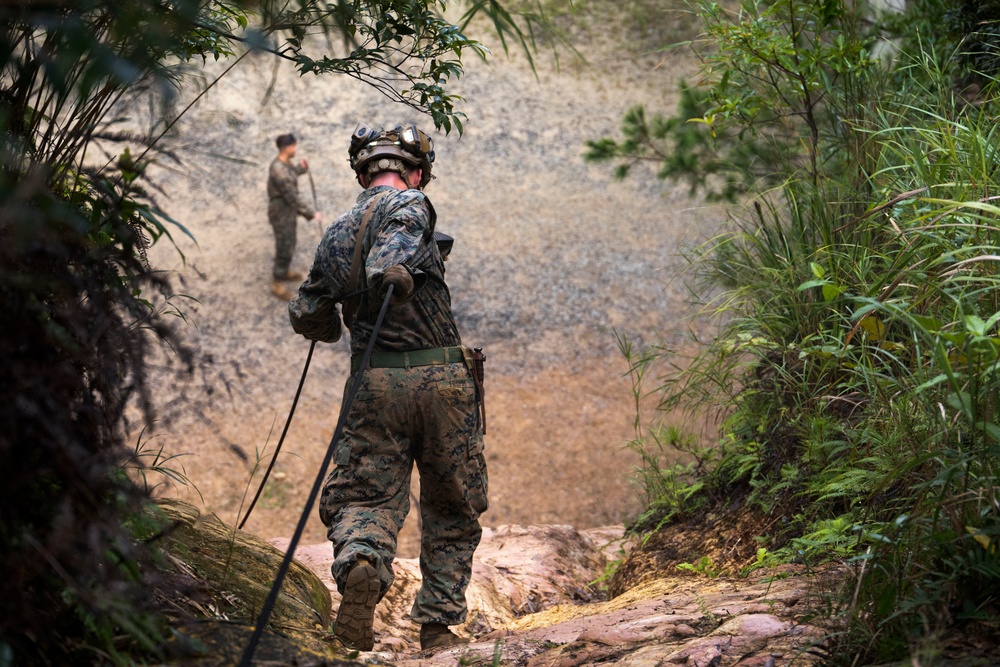 31st MEU | 1st Battalion, 7th Marines Conducts Jungle Warfare Training