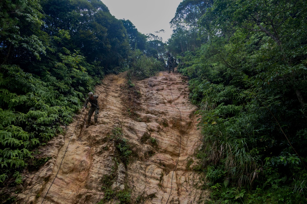 31st MEU | 1st Battalion, 7th Marines Conducts Jungle Warfare Training