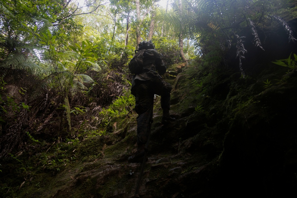 31st MEU | 1st Battalion, 7th Marines Conducts Jungle Warfare Training