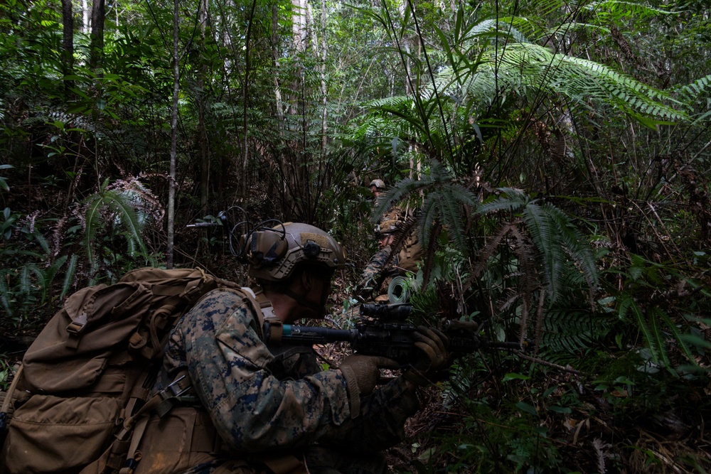 31st MEU | 1st Battalion, 7th Marines Conducts Jungle Mobility Drills