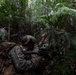31st MEU | 1st Battalion, 7th Marines Conducts Jungle Mobility Drills