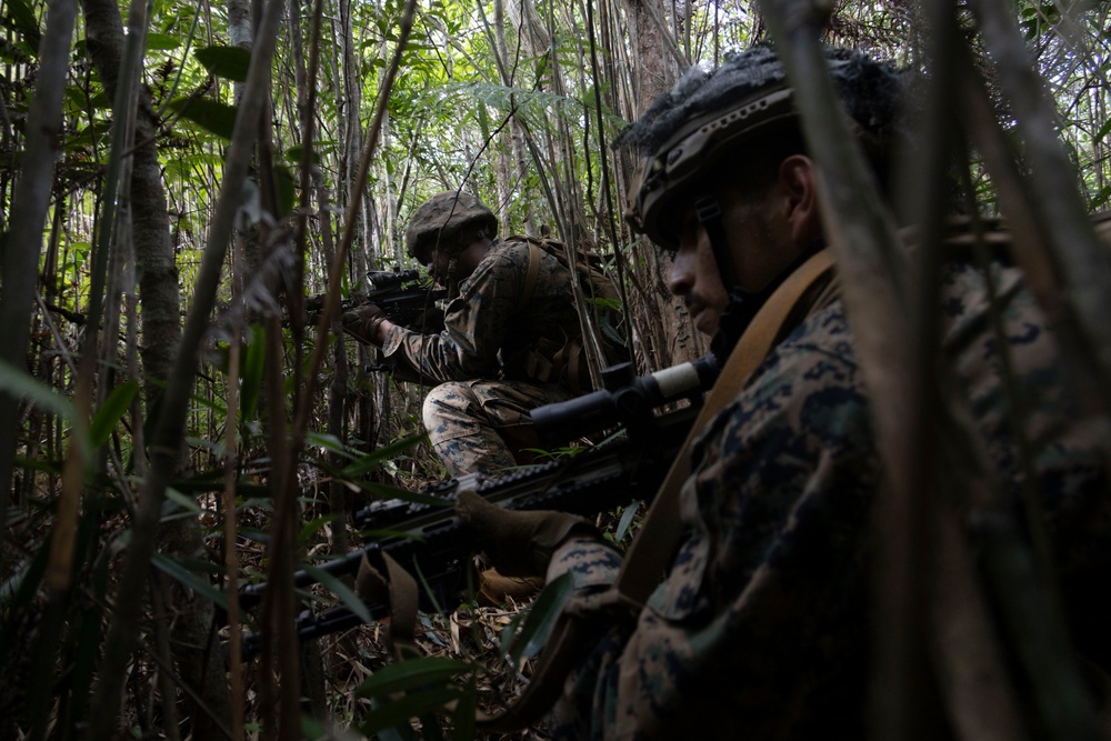 31st MEU | 1st Battalion, 7th Marines Conducts Jungle Mobility Drills