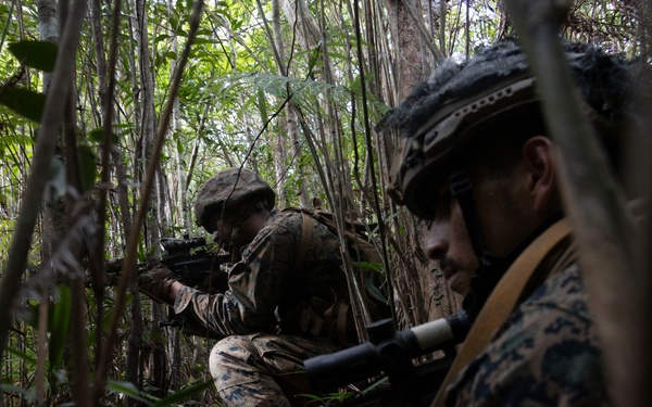 31st MEU | 1st Battalion, 7th Marines Conducts Jungle Mobility Drills