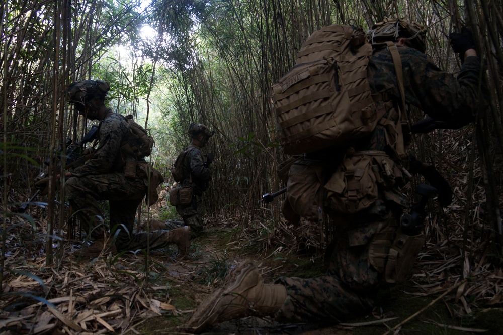 31st MEU | 1st Battalion, 7th Marines Conducts Jungle Mobility Drills
