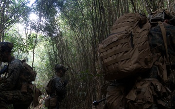 31st MEU | 1st Battalion, 7th Marines Conducts Jungle Mobility Drills