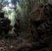 31st MEU | 1st Battalion, 7th Marines Conducts Jungle Mobility Drills