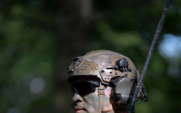 Faces of Orient Shield 25