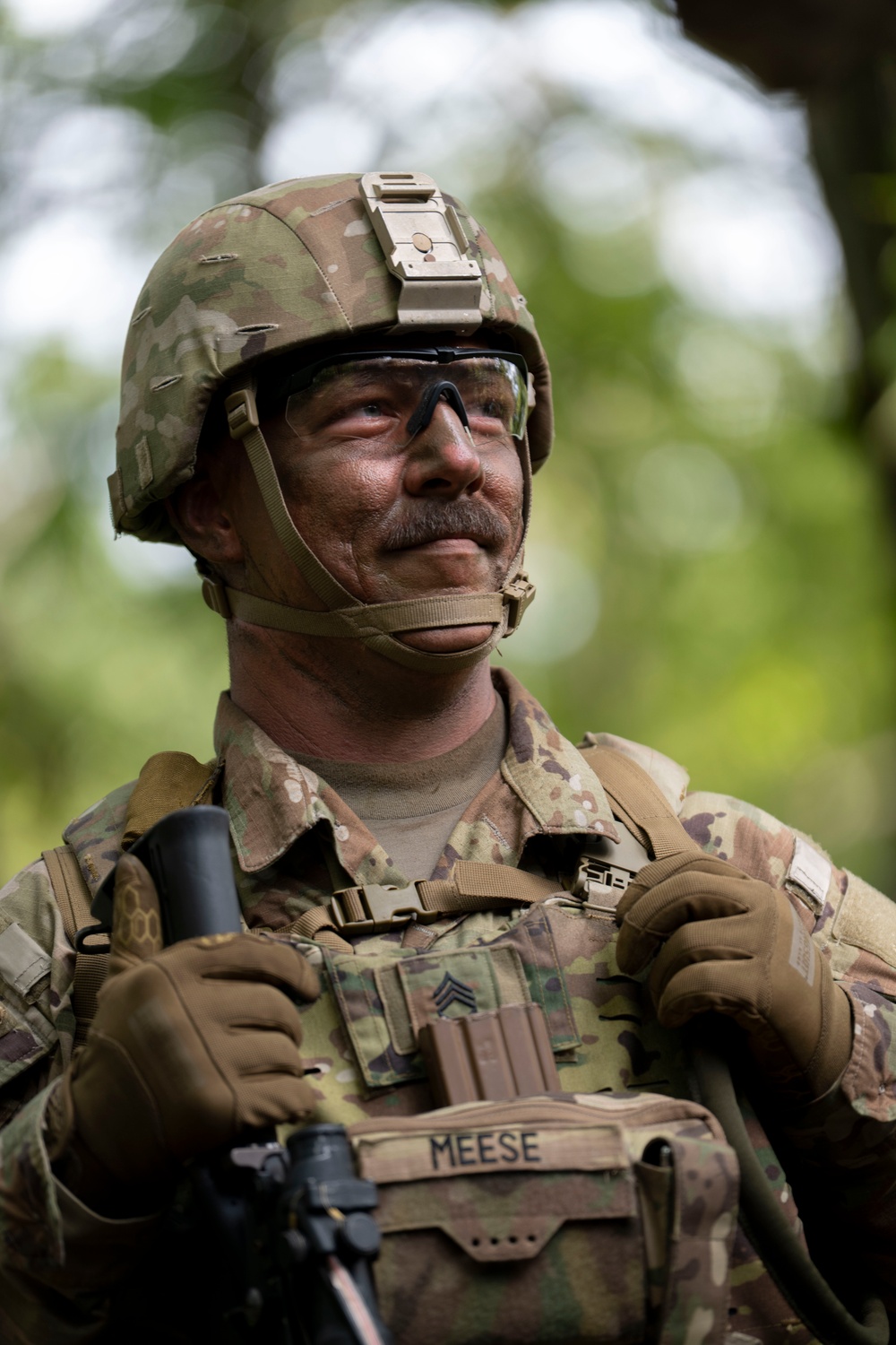 Faces of Orient Shield 25