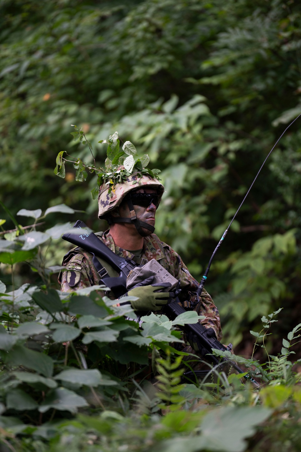 Faces of Orient Shield 25