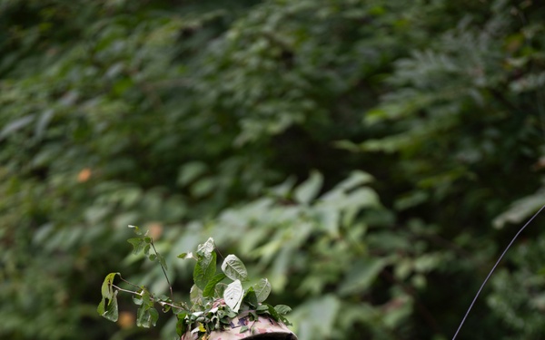 Faces of Orient Shield 25