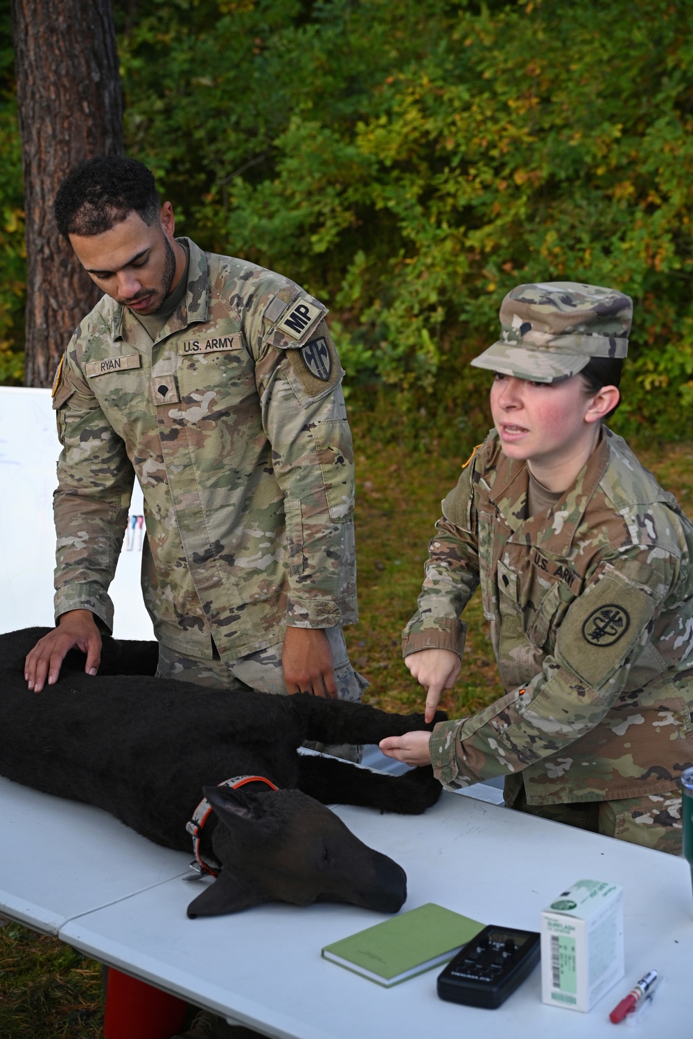 Veterinary Readiness Activity Trains Military Dog Handlers