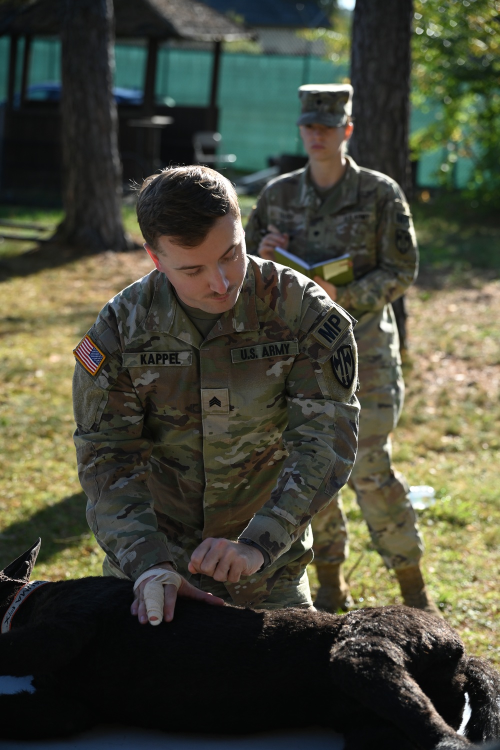 Veterinary Readiness Activity Trains Military Dog Handlers