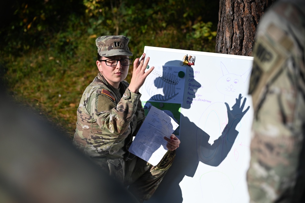 Veterinary Readiness Activity Trains Military Dog Handlers