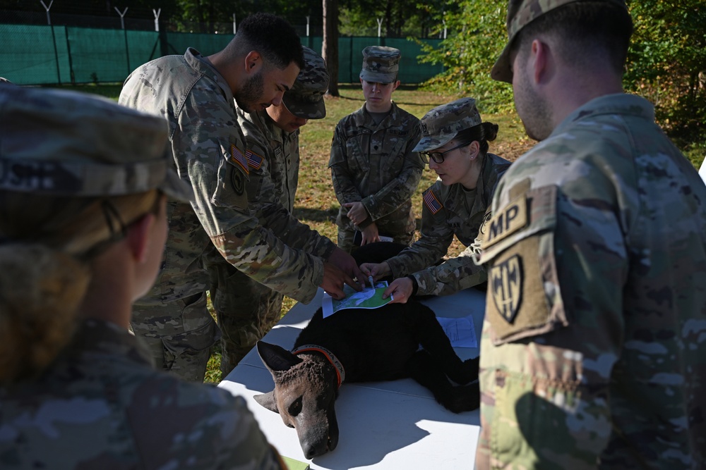 Veterinary Readiness Activity Trains Military Dog Handlers