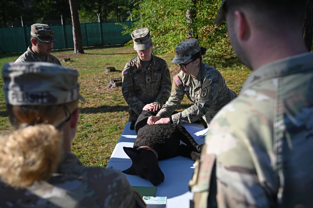 Veterinary Readiness Activity Trains Military Dog Handlers